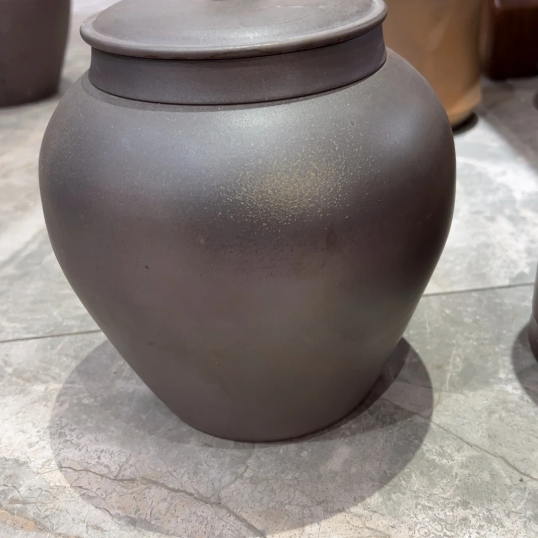 贵台龙窑柴烧茶壶A82冻**龙