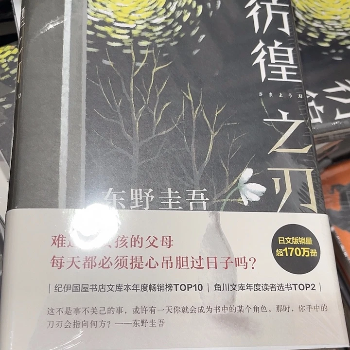 彷徨之刃十米一个