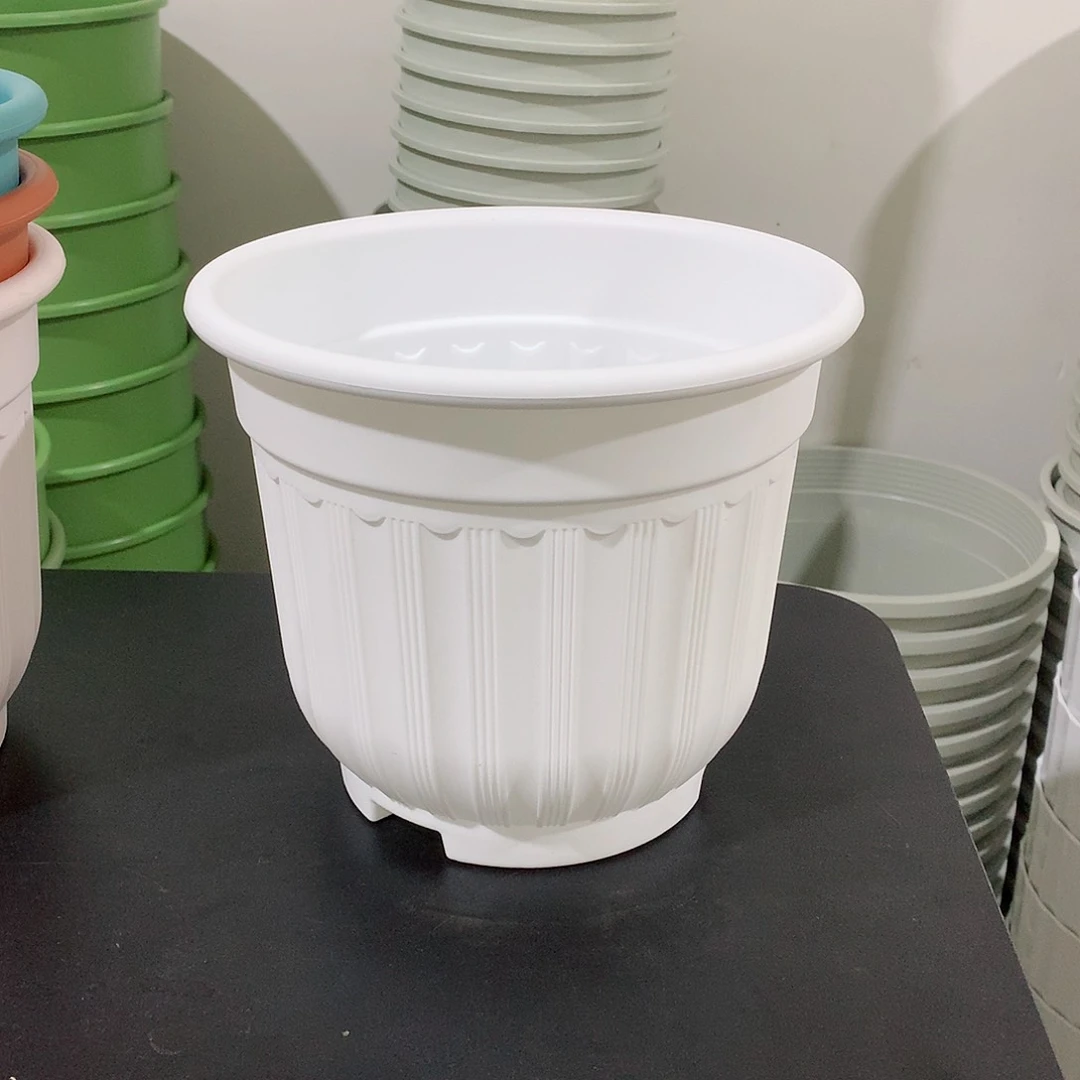 树脂罗马口21白4个无托