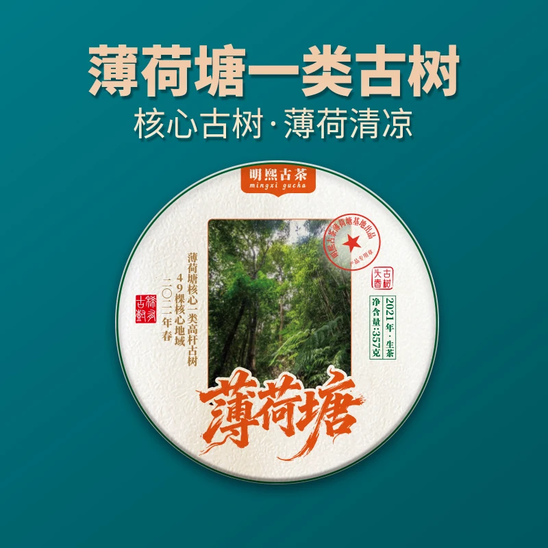 【明熙古茶】（1106）2021年薄荷塘一类高杆古树普洱生茶357克/饼