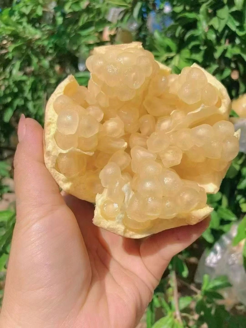 王大利精品富硒石榴基地（大果礼盒）