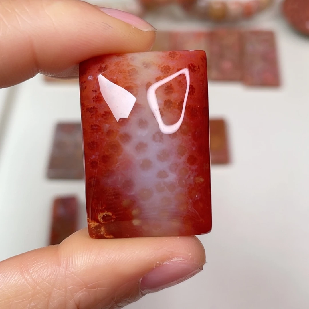 【闪购商品】未镶嵌吊坠(赠链)硅化玉