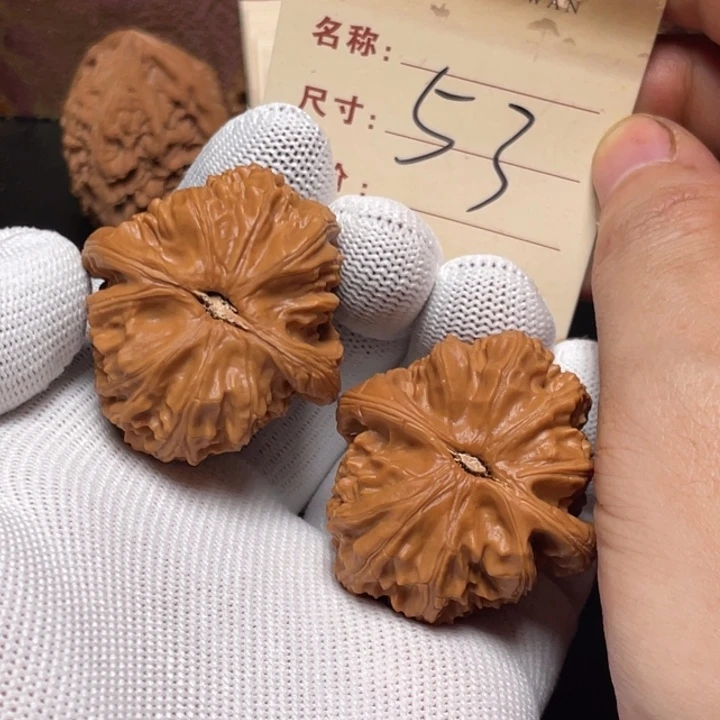 把件文玩核桃白狮子38尺有修以打底53