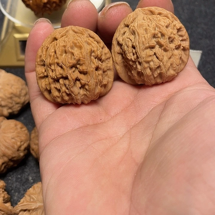 ****末文玩核桃把件文玩核桃白狮子