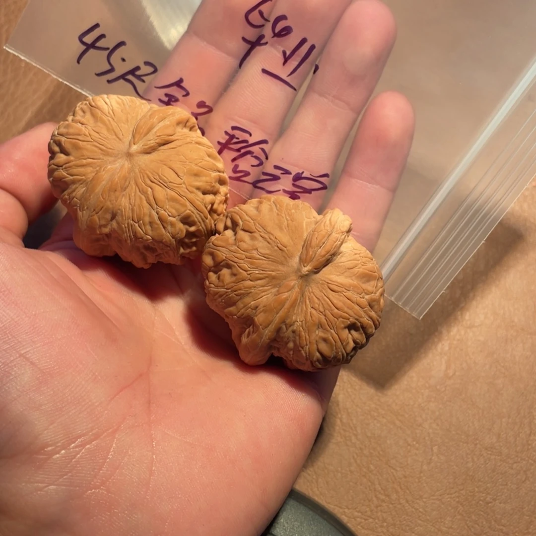 核桃手串/手链009