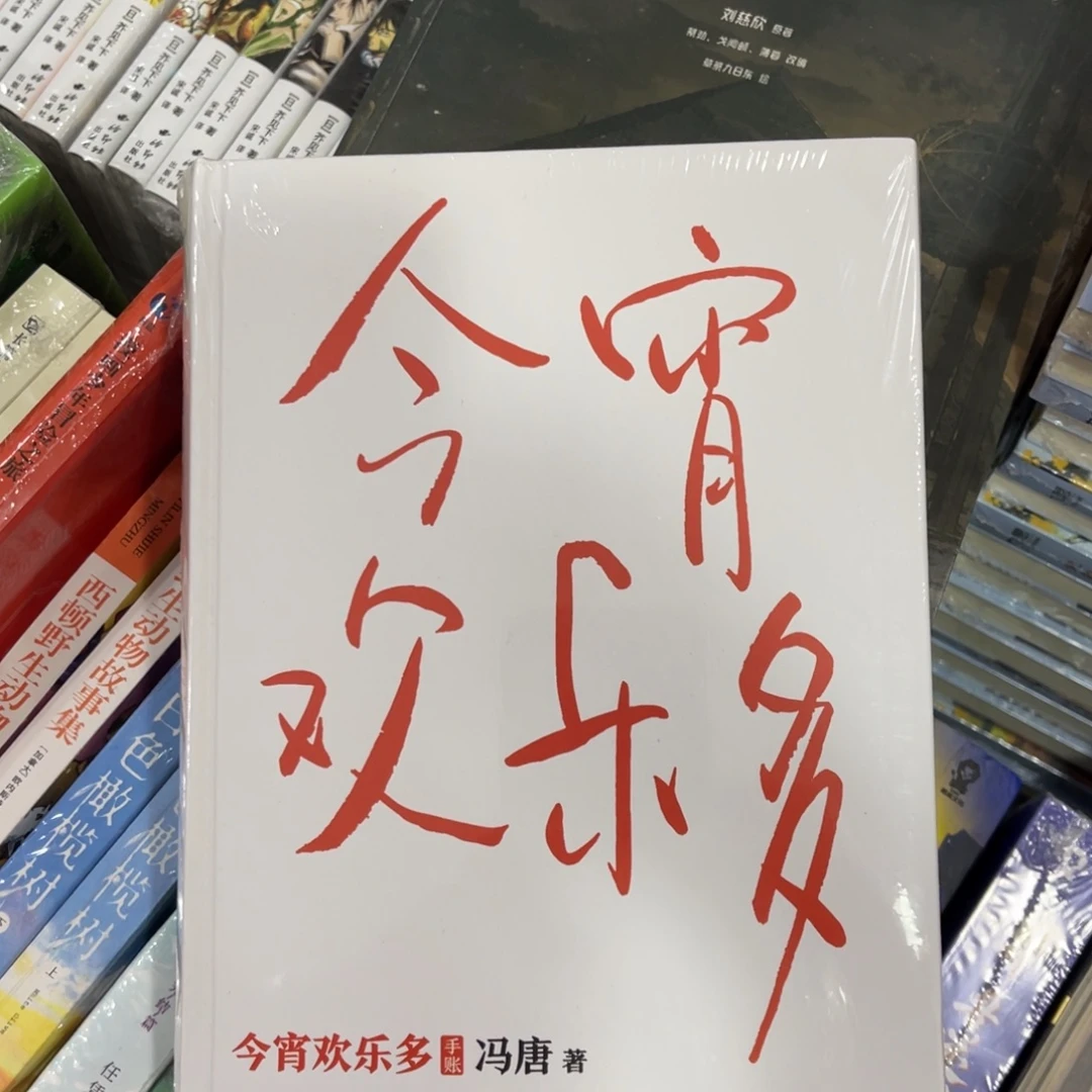 今宵欢乐多精装一个