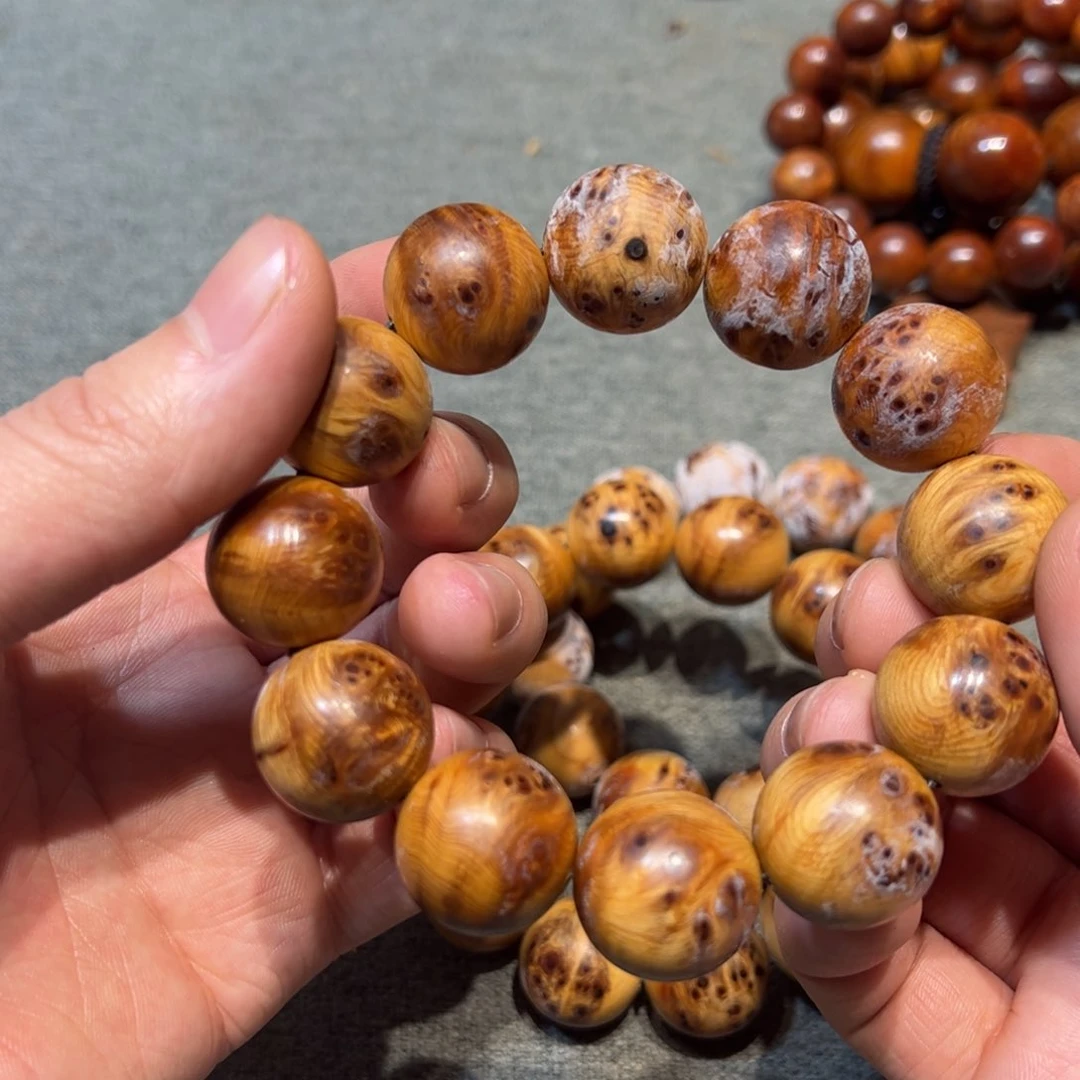 太行崖柏陈化太行