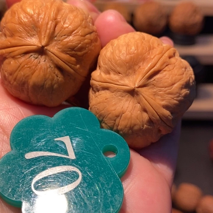 木质类豆包三棱34尺