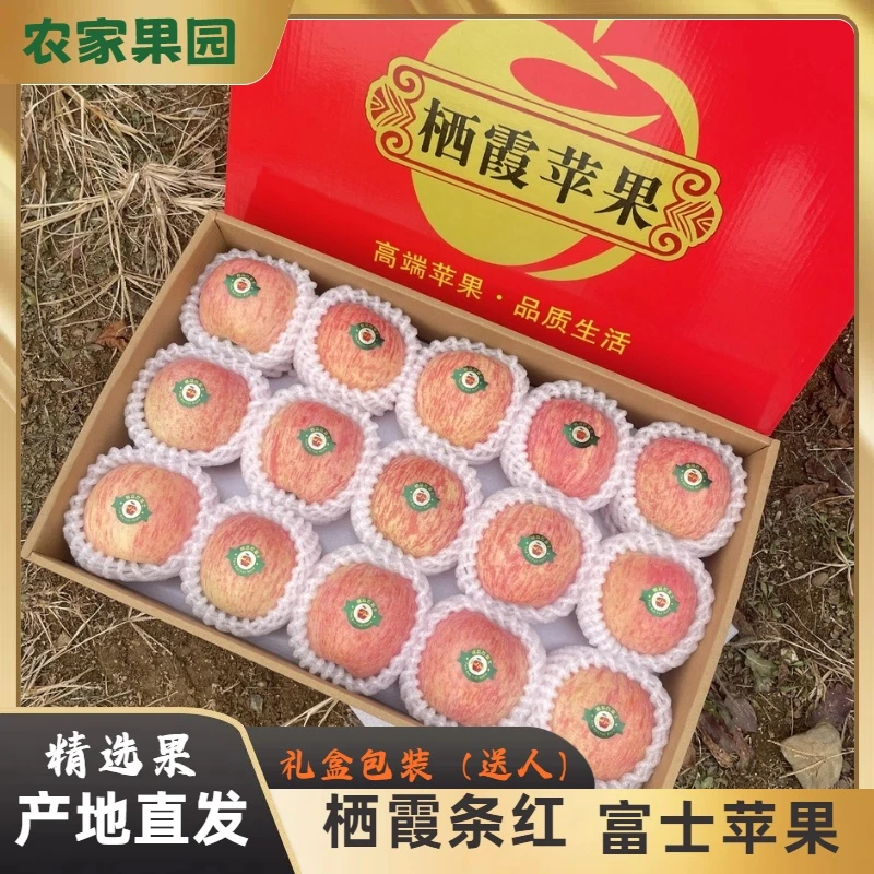 【精美礼盒礼】条纹富士苹果新年礼盒条纹栖霞苹果送礼礼品礼物