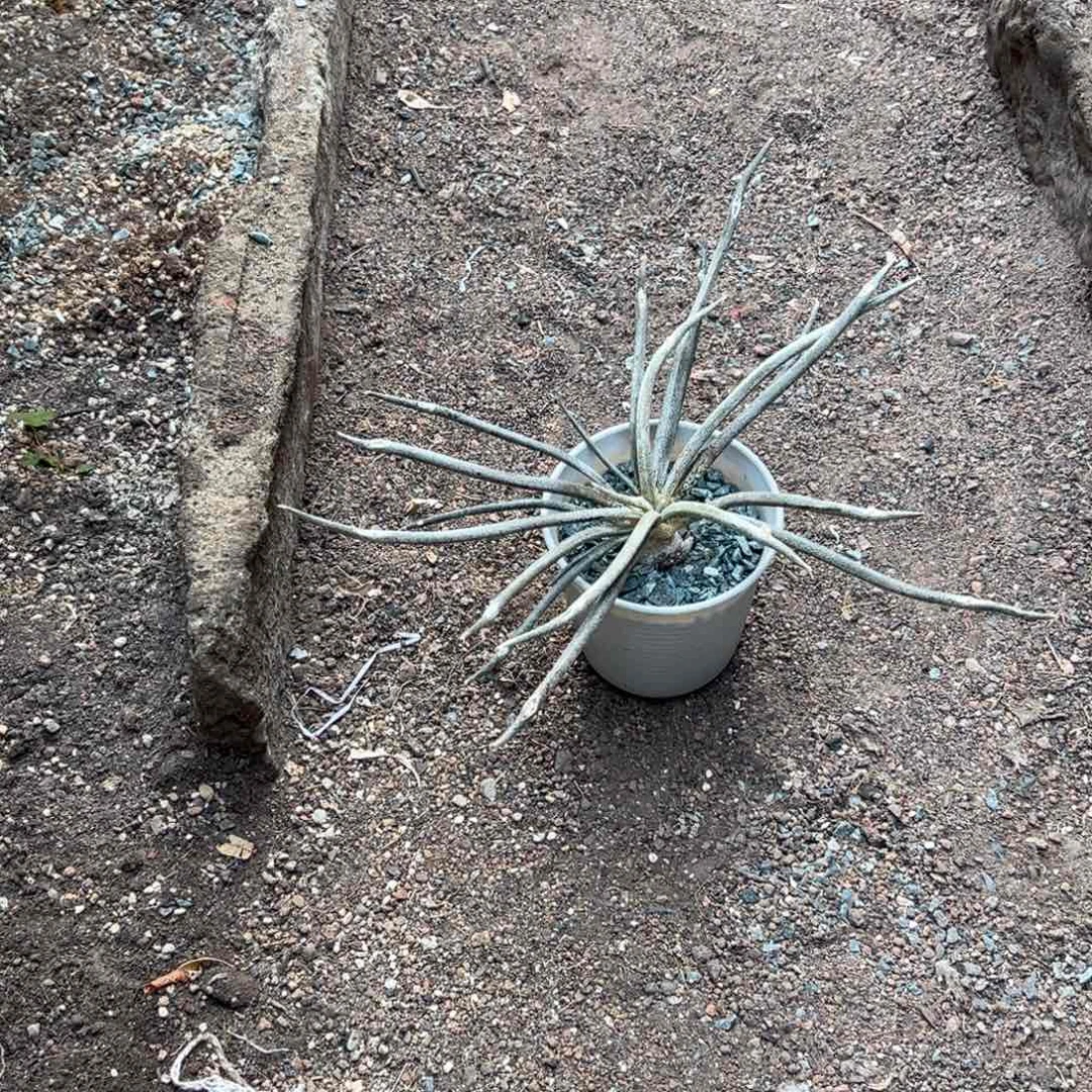 小*羊W234567890Ttyioohjl