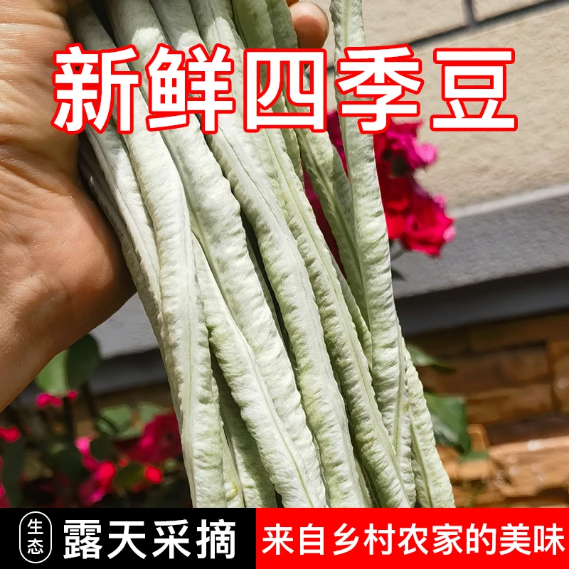 新鲜采摘甜豆角大肉豆角长豆角白豇豆现摘现发湖北农家自种嫩豆角