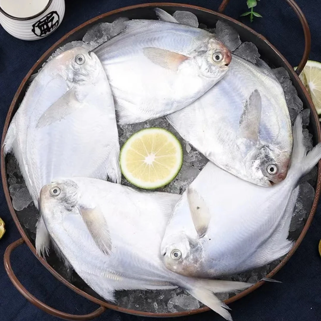 【鲜平子鱼】野生平子鱼蒜瓣肉 渤海湾野生海鱼