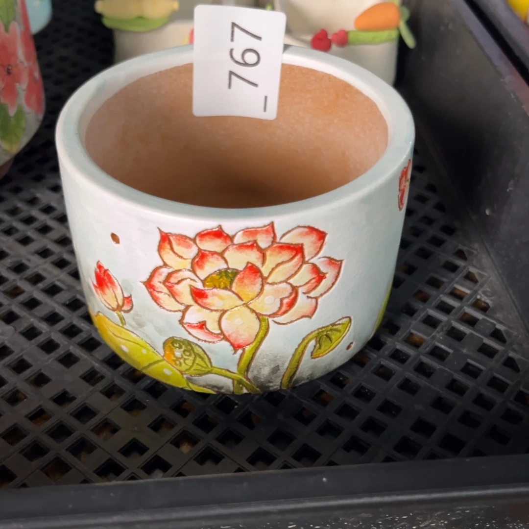 ****李767多肉花盆   1个