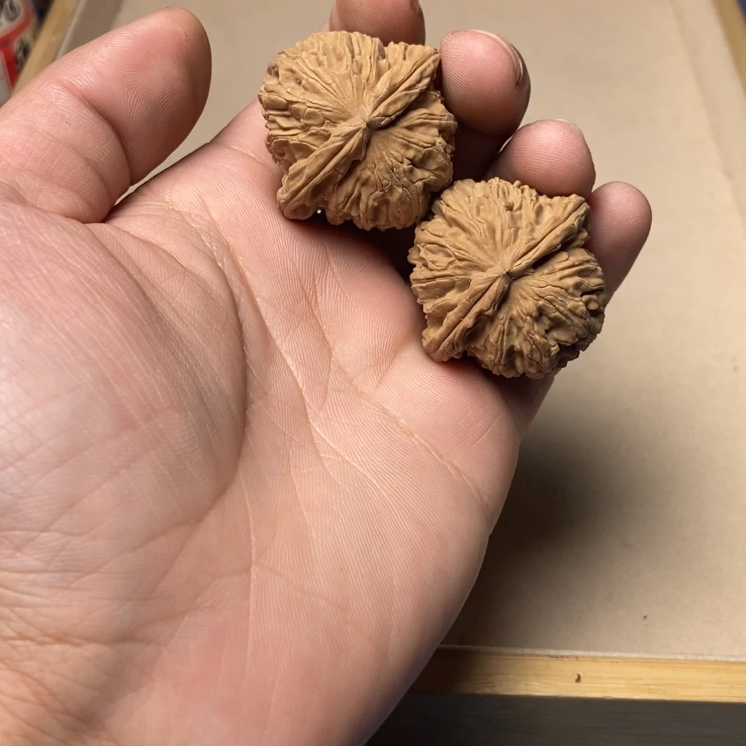文玩核桃把件全品三角白