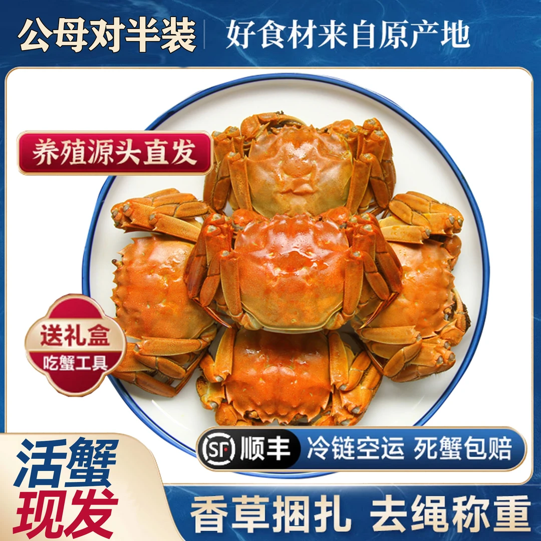 【江苏活蟹】大闸蟹公4.0-3.7两 母3.5-3.2两6-10只礼盒装顺丰包邮
