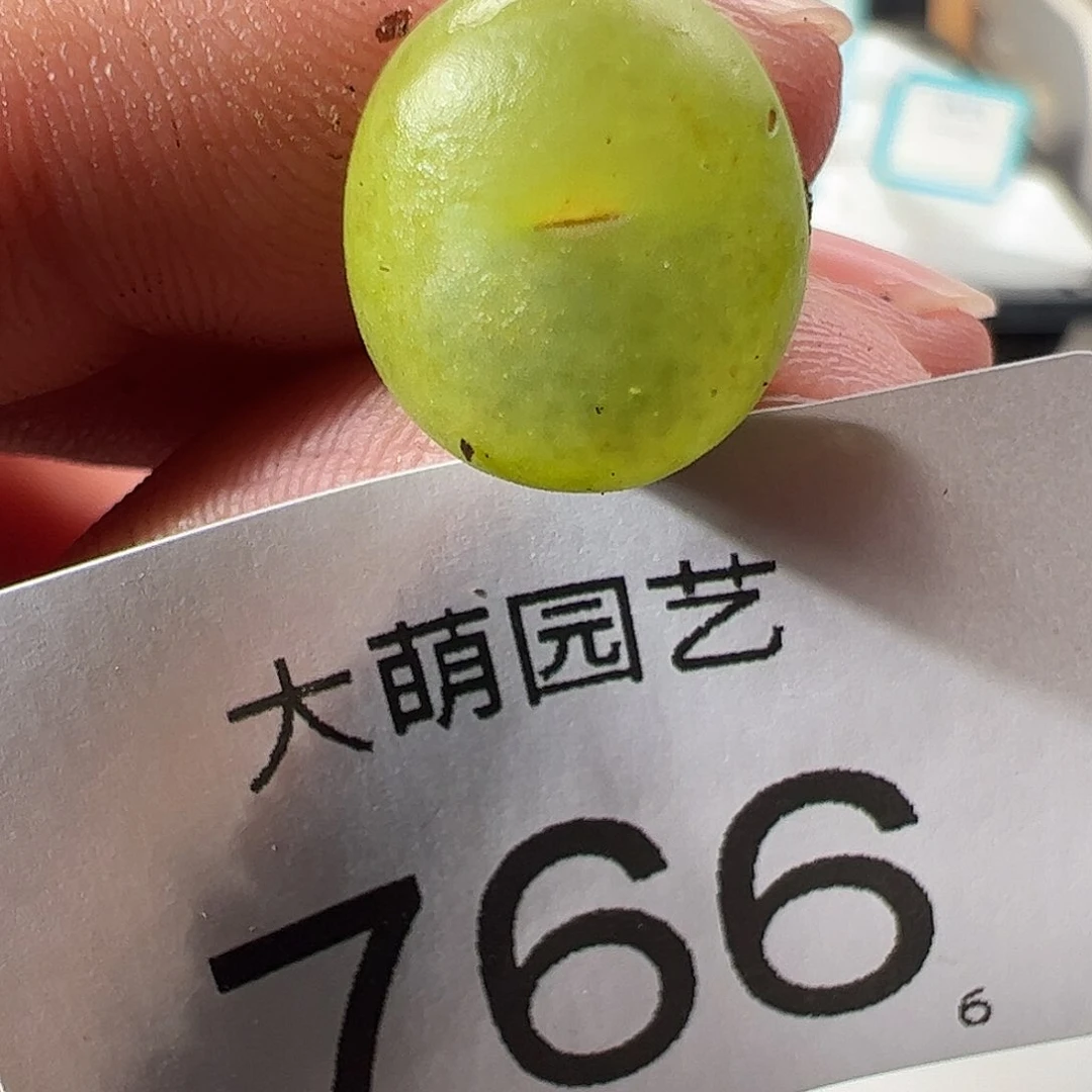 0000766 一物一拍……