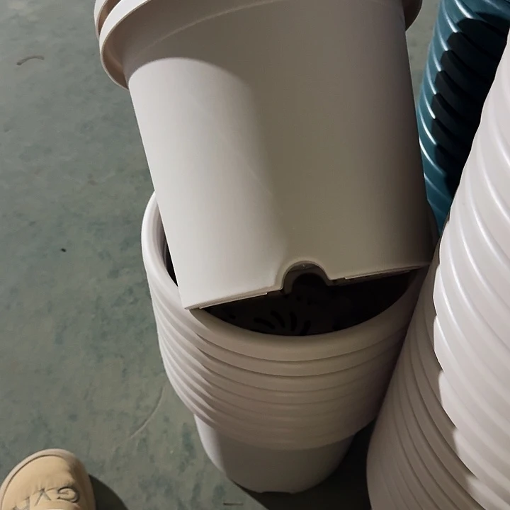 四季5号灰白无托10个特价微瑕