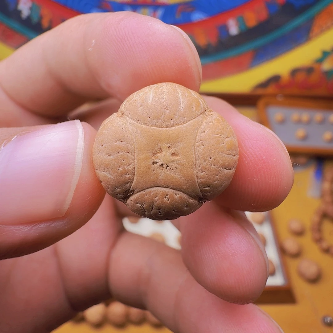 阿***木19.5梅花麒麟，一物一图