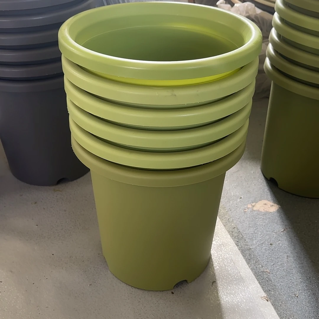 编号7506，7号无托