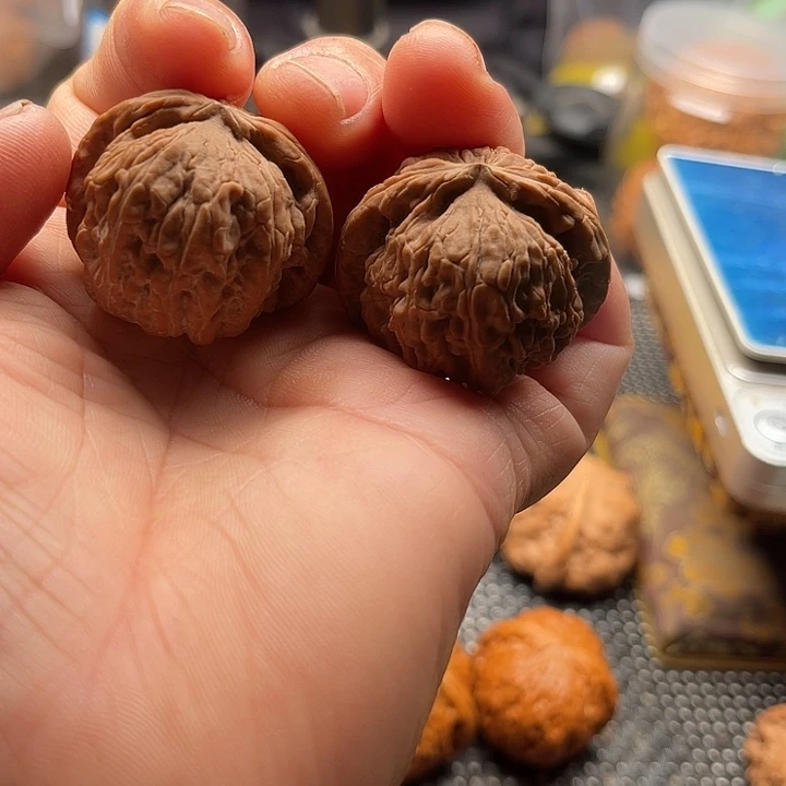 收***节把件桃核特价麻核桃