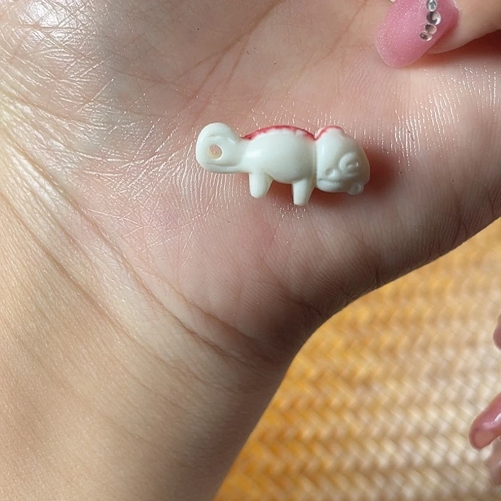 鹿骨其他驼骨t驼骨驼骨55