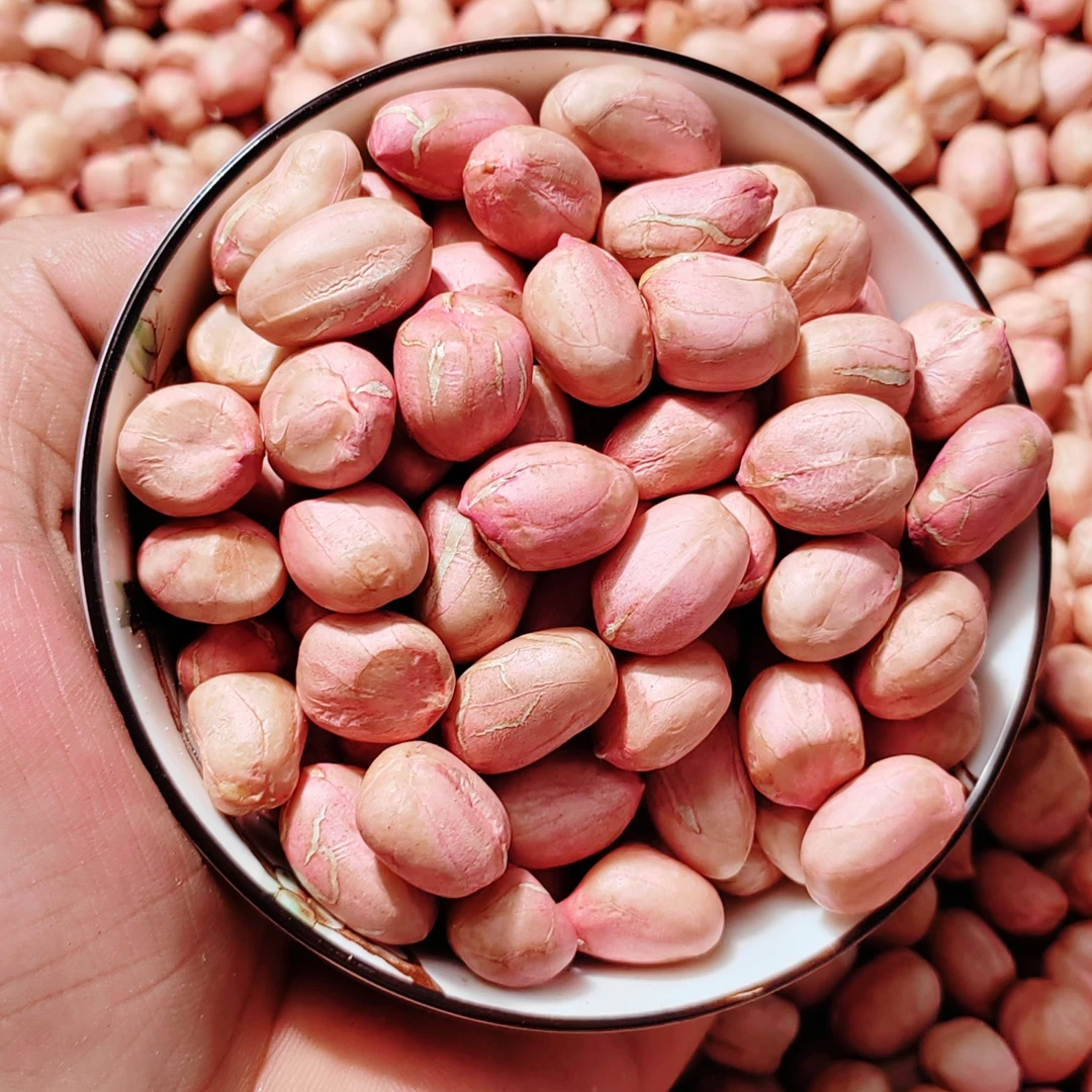 2025年新鲜上市花生米2斤/1斤白沙生花生河南农产品三斤五斤十斤