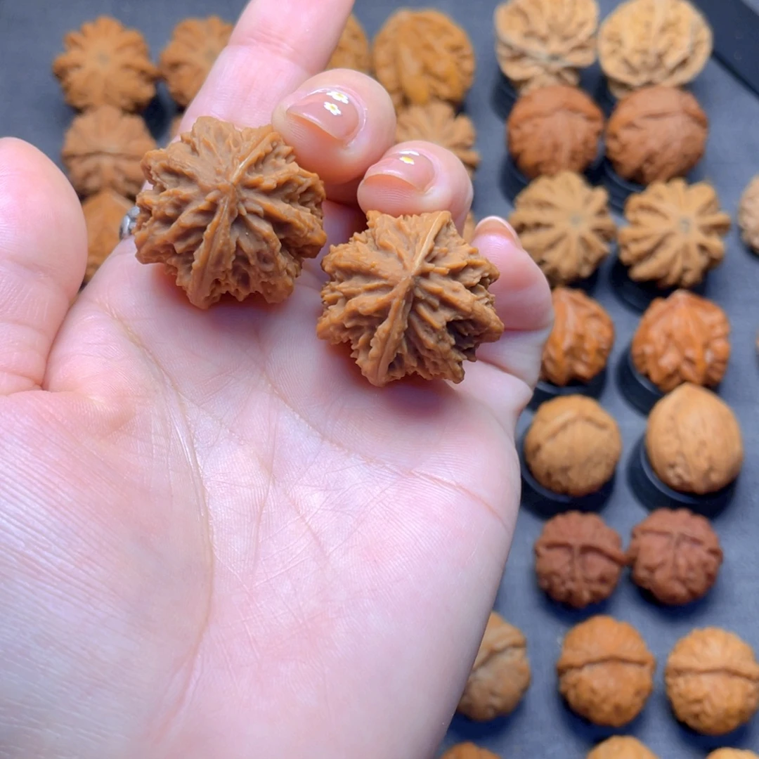 核桃文玩把件蝴蝶龙脊