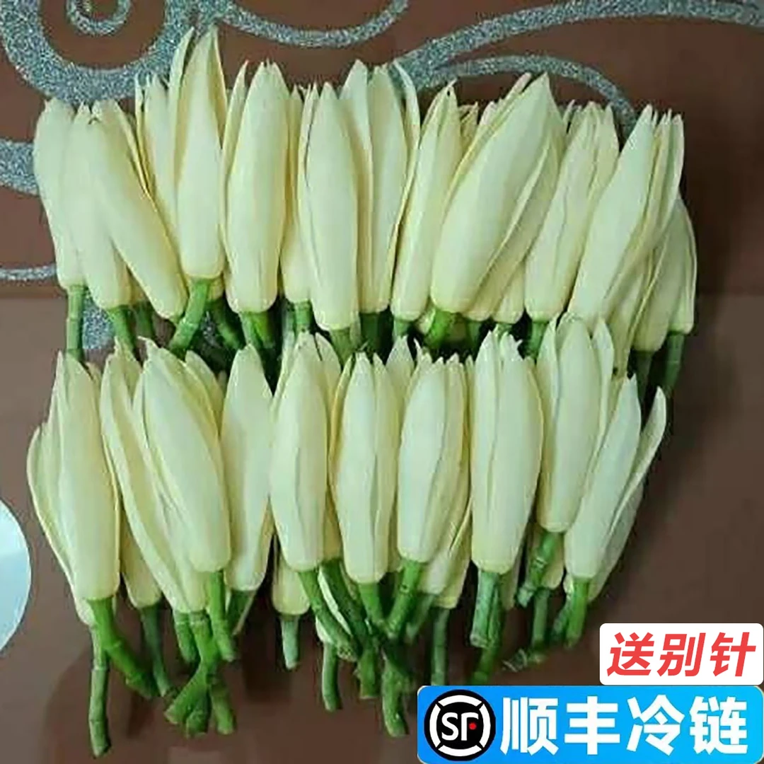 白兰花鲜花黄果兰花缅桂花新鲜黄角兰白玉兰花朵泡酒闻香客厅车内