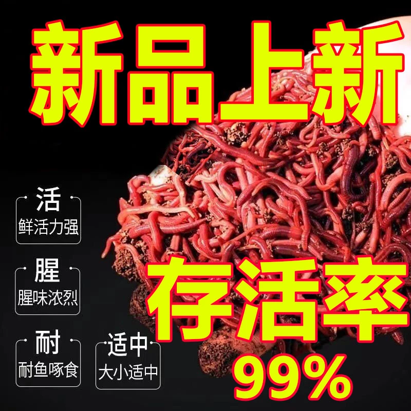 鲜活红虫蚯蚓腥多味饵软虫鱼饵鲫鱼鲤鱼青鱼草鱼假饵料