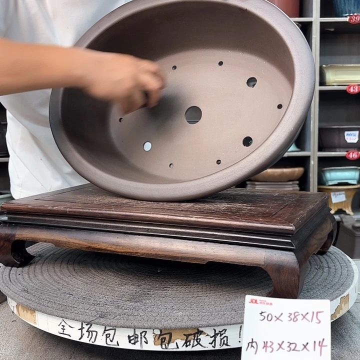紫砂花盆y***y！紫砂花是