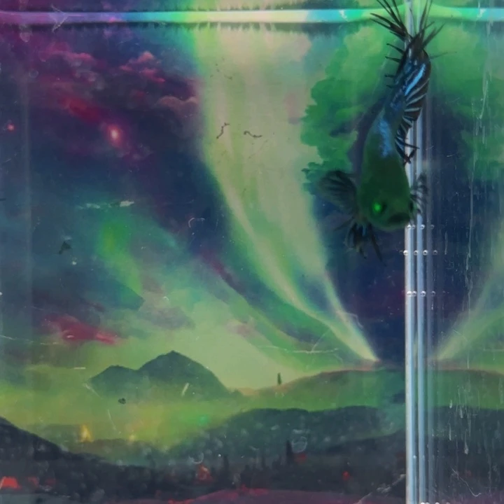 斗鱼哈哈好开心哦？我们