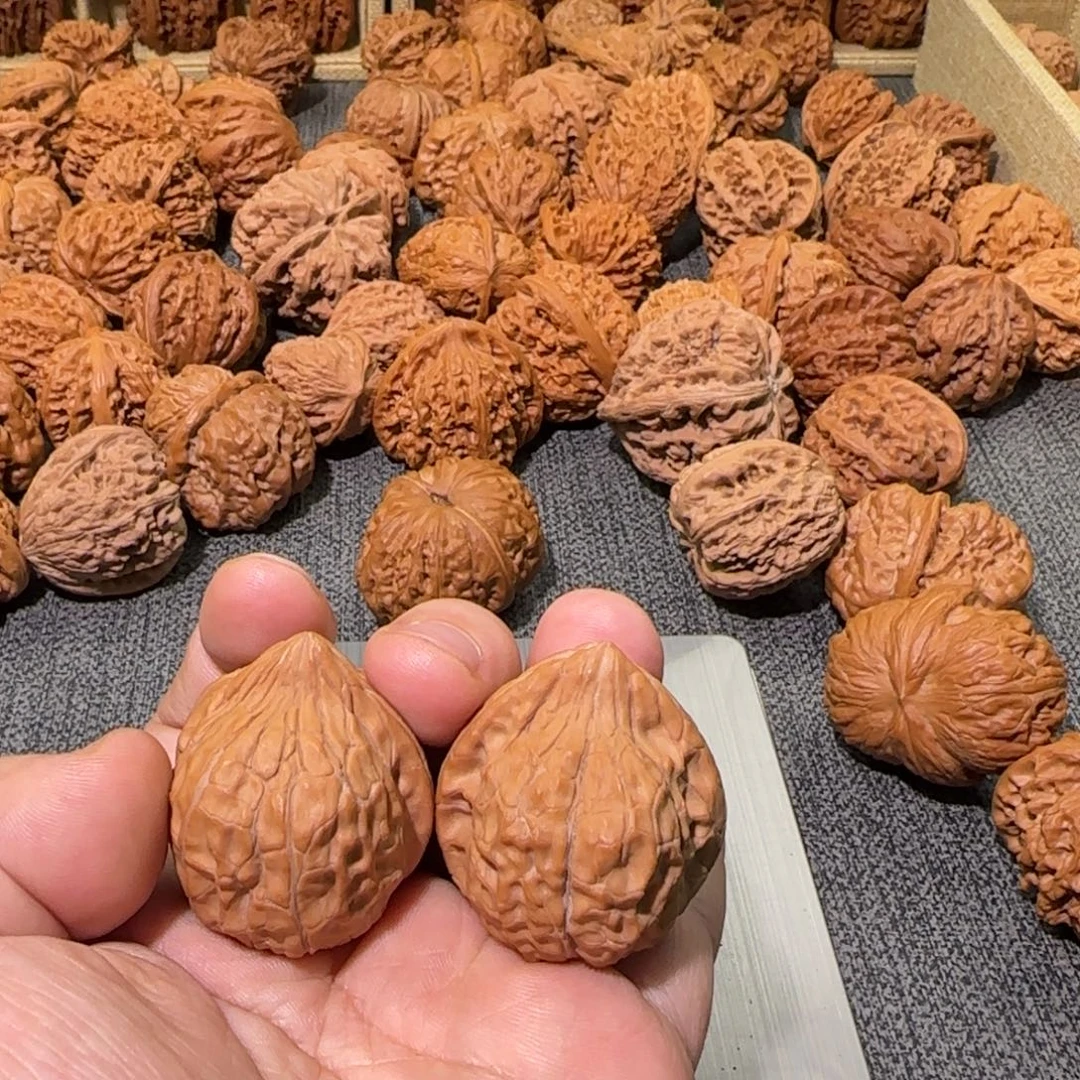 文玩核桃把件35龟甲纹