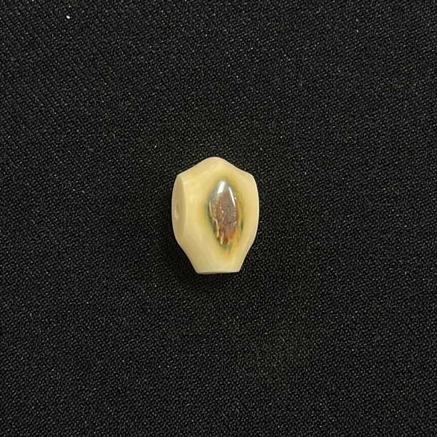 PT93 虎眼鲨鱼背三通 只做天然猛犸牙