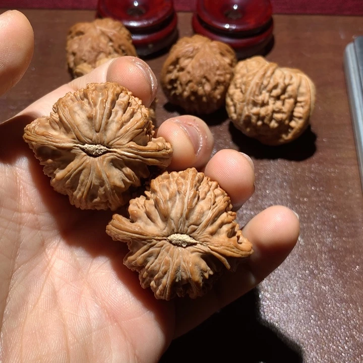 把件文玩核桃大****烟白狮子