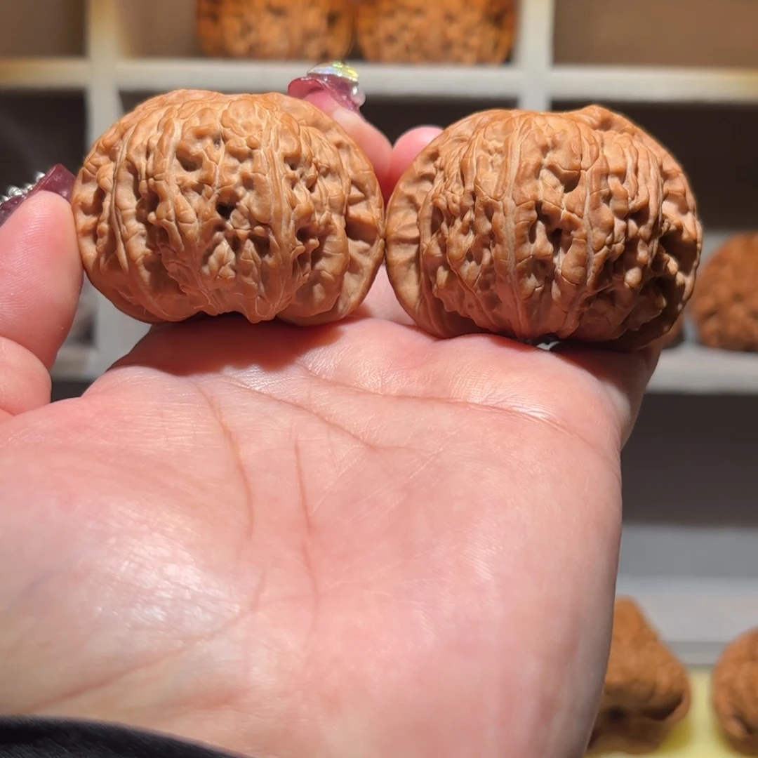 大***铮文玩核桃把件49 大尺白狮子