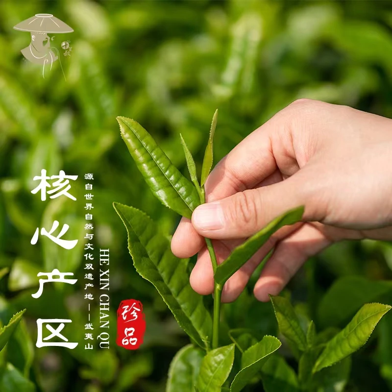斗笠叔27a武夷岩茶专拍链接