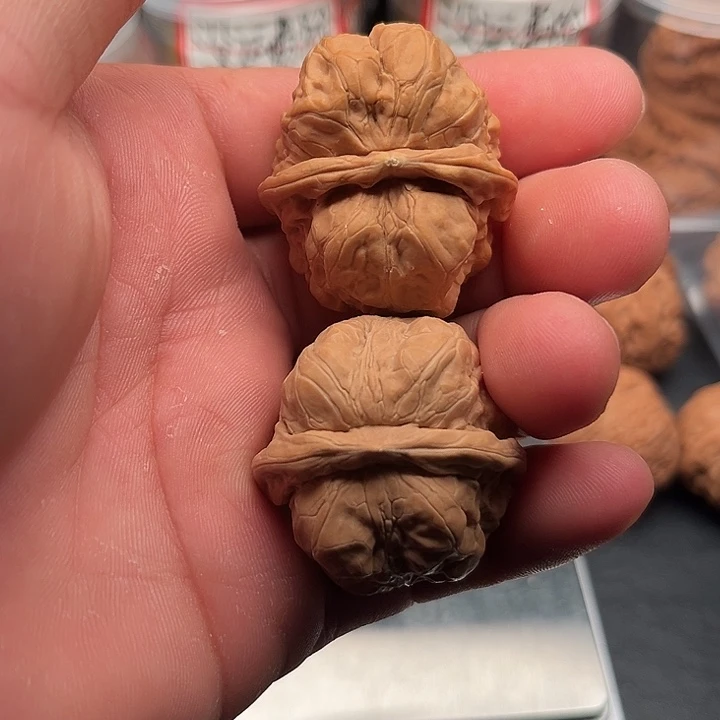 文玩核桃把件蛤蟆