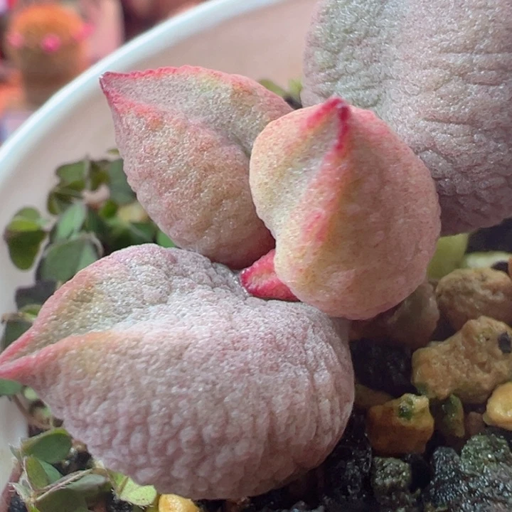 用****9你们的小伙伴都在等