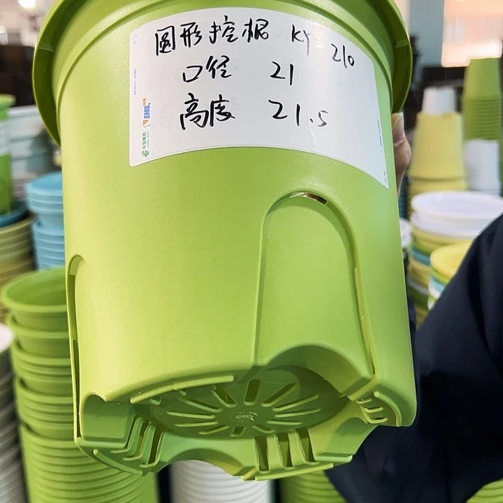 正品圆控口21高21果绿无托8只