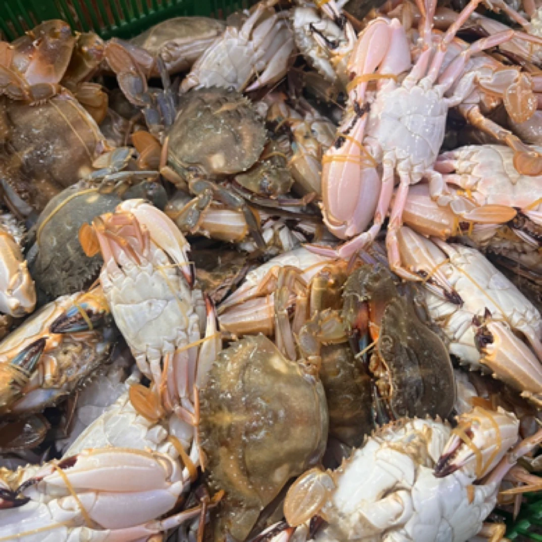 【1斤大号石头蟹】规格4只左右一斤