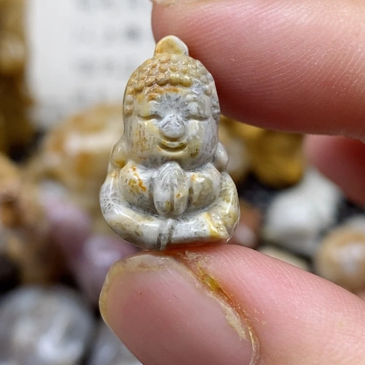 颈饰未镶嵌硅化珊瑚（珊瑚玉）有瑕 小