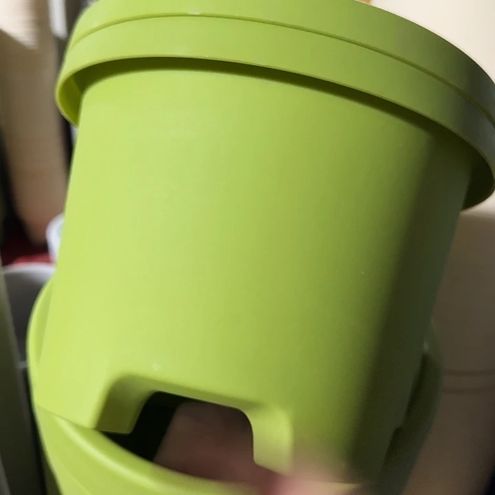 球根盆3号果绿无托6个