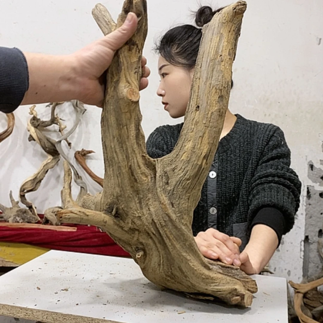 【闪购商品】柏木正****馆我们都是好孩子