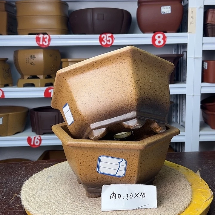 紫砂花盆你在一起