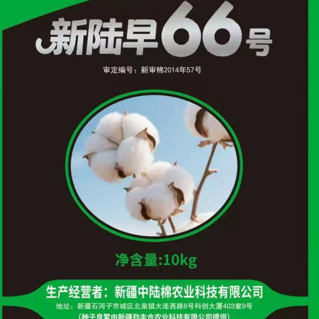 劲丰合霸王棉6号（一袋意向金）