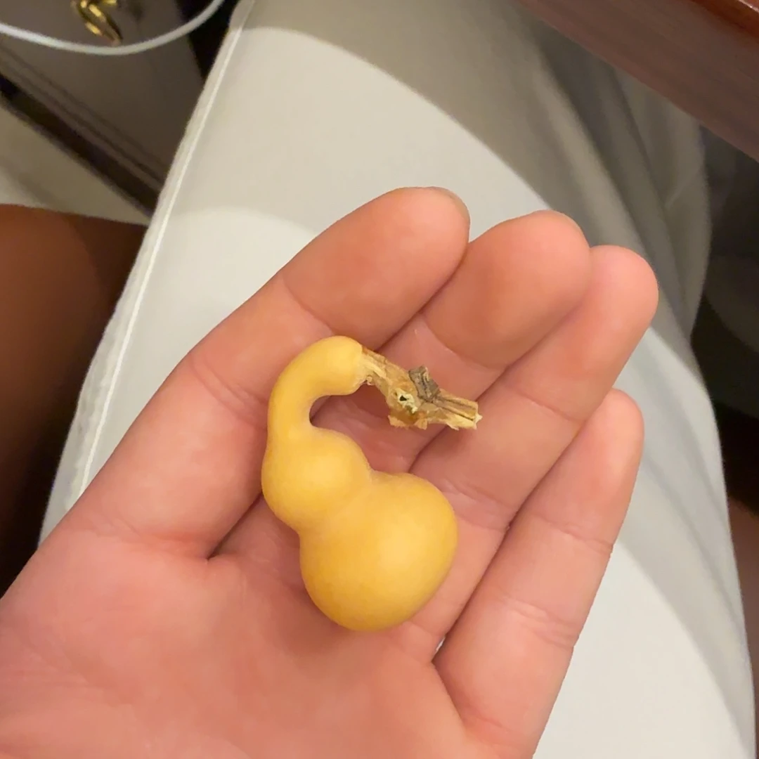 舍得出品精选葫芦