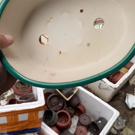 我想说什么我会和他们商量我