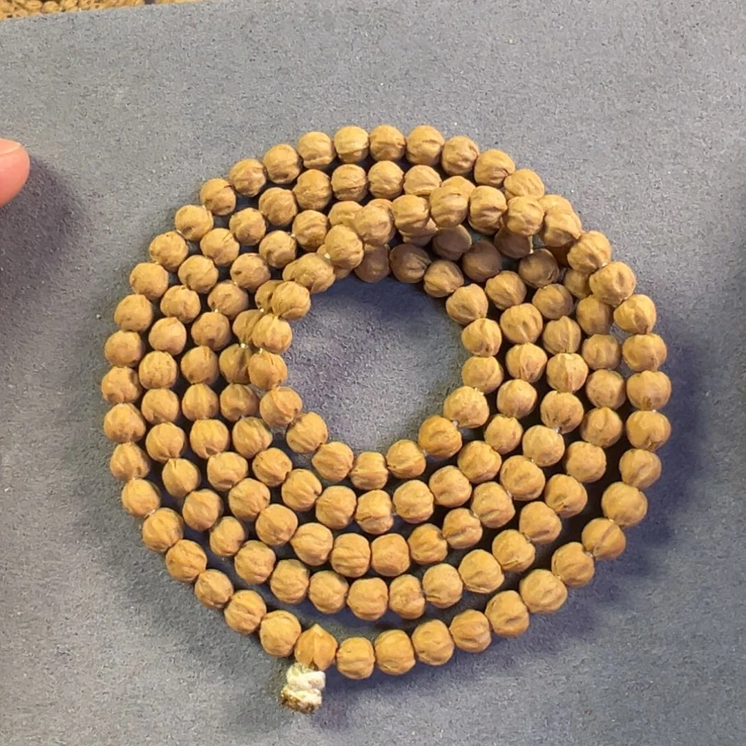 【闪购商品】吊坠柏香籽/百香籽热振原装大金豆2号