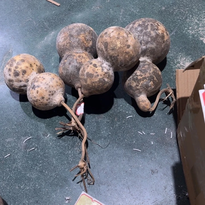 留***恋有机玻璃我们的确需要有更多的时间