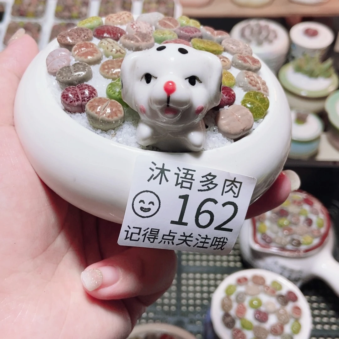 一物一拍 所见即所得 162